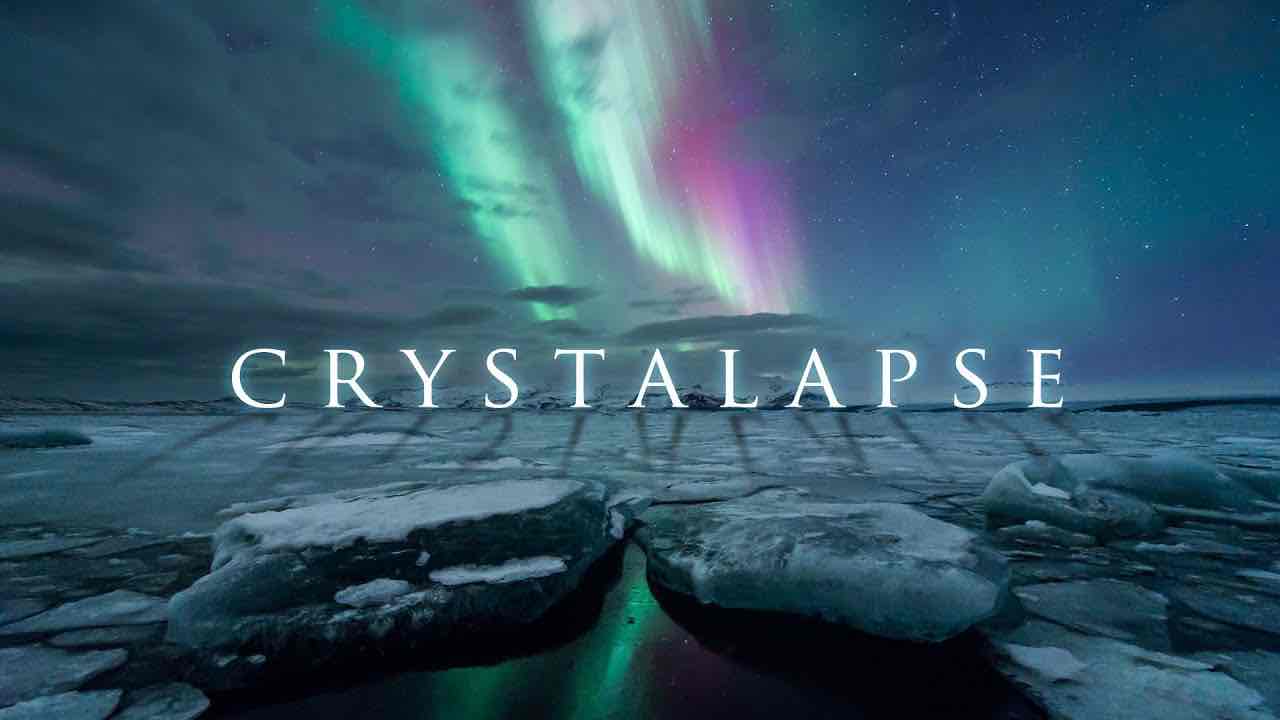 Reproduzir